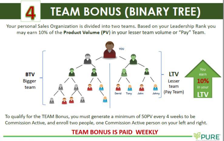 team bonus